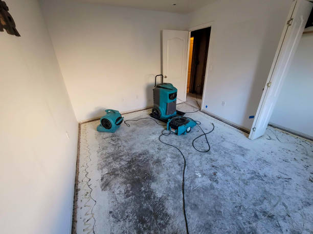 Best Carpet water damage restoration  in Redwood, TX