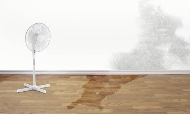  Redwood, TX Water damage restoration Pros