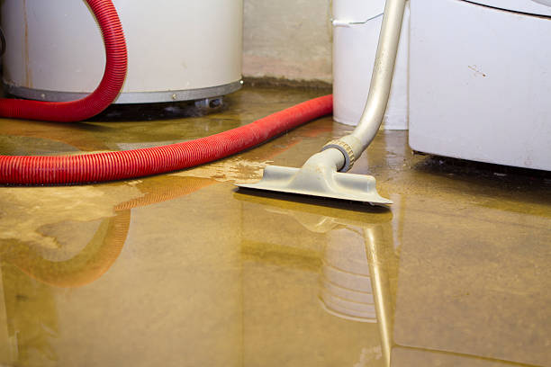 Best Professional water damage repair  in Redwood, TX